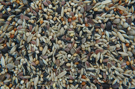 Waldvogelfutter ohne Rübsen